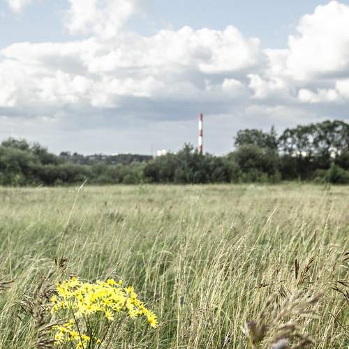 Photo #13013165