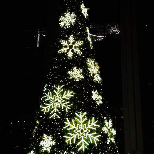 Photo #13013206