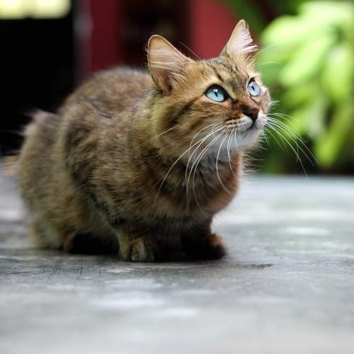 Photo #13013223