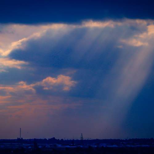 Photo #13013379