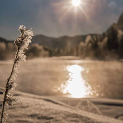 Photo #13013402