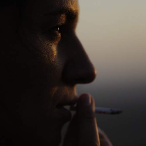 Photo #13013470