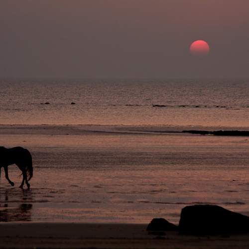 Photo #13013535