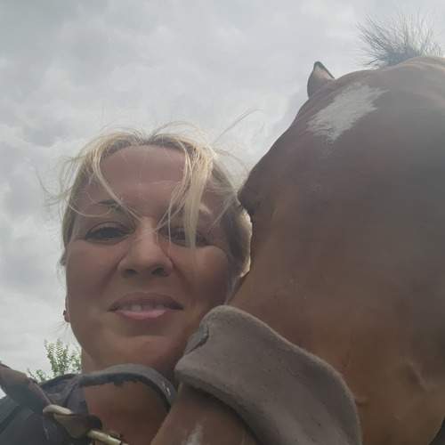 Photo #13013538