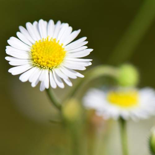 Photo #13013680