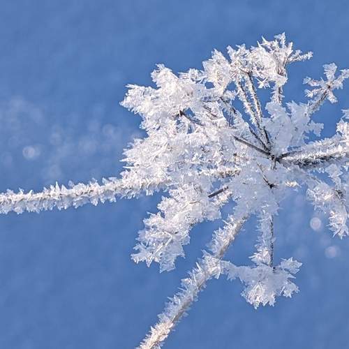 Photo #13013730