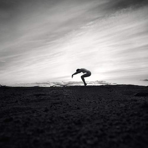Photo #13013879