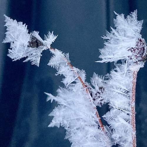 Photo #13013974