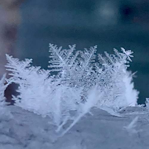 Photo #13013975
