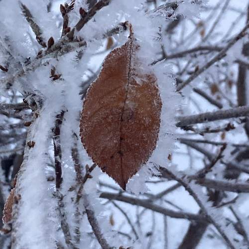 Photo #13013976