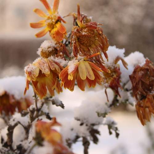 Photo #13014018