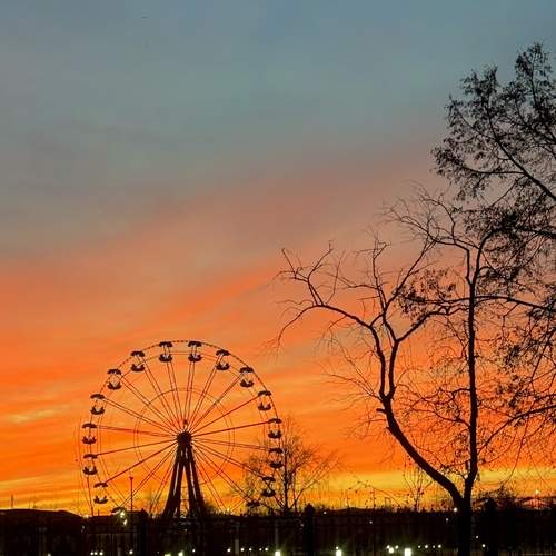 Photo #13014025