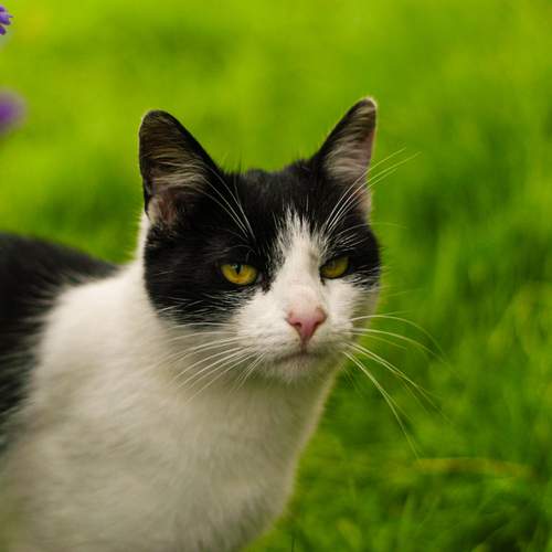 Photo #13014031