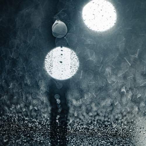 Photo #13014050