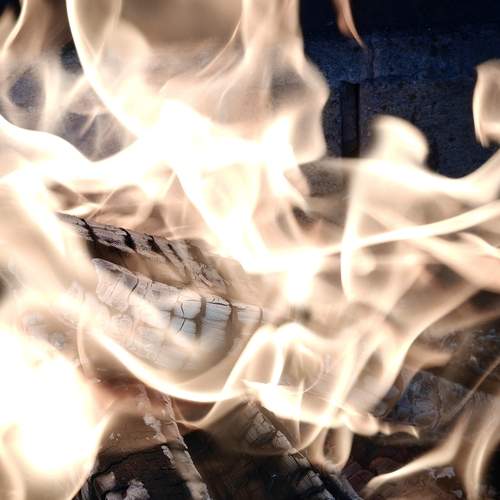 Photo #13014066