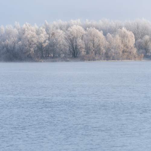Photo #13014199