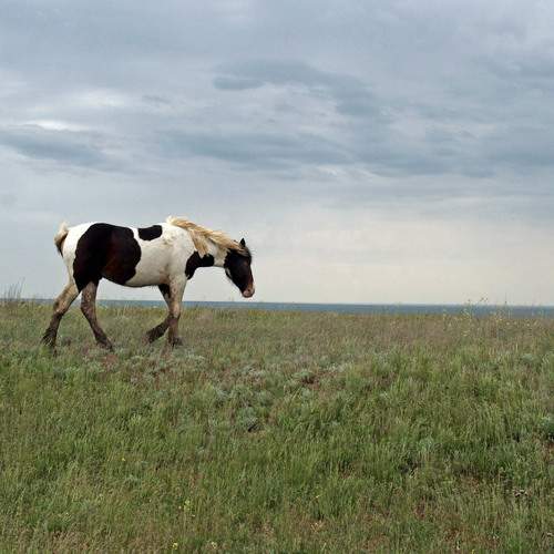 Перед дождем