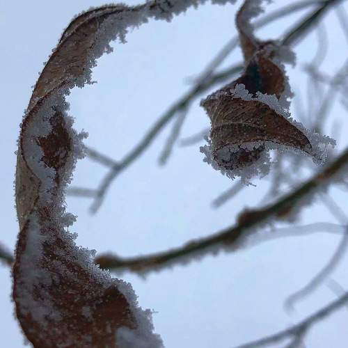 Photo #13014501
