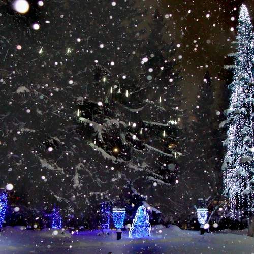 Photo #13014601