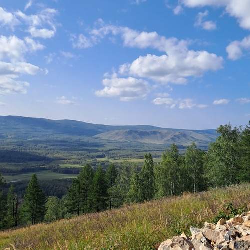 Photo #13014688