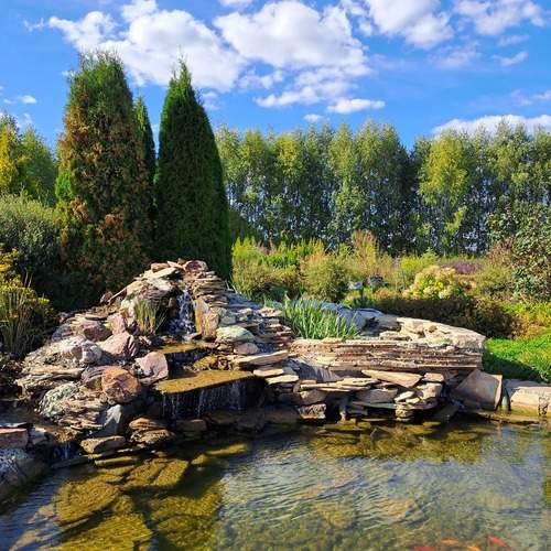 Photo #13014696