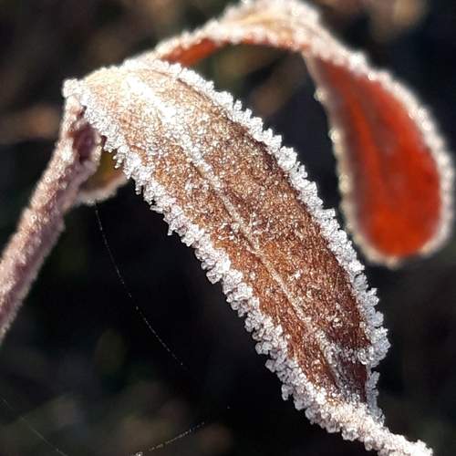 Photo #13014864