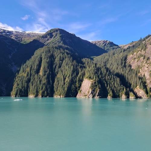 Photo #13014873