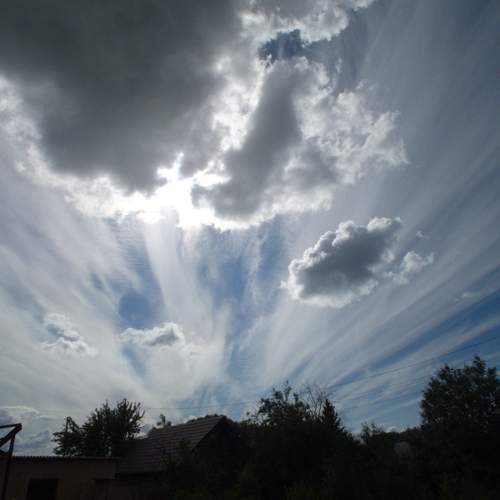 Photo #13014991