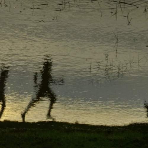 Photo #13015177