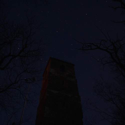Photo #13015279