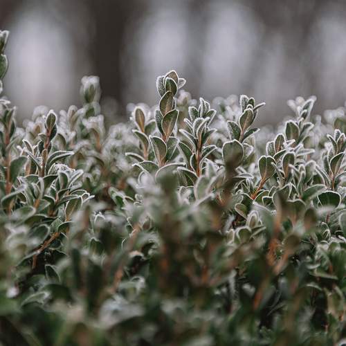 Photo #13015289