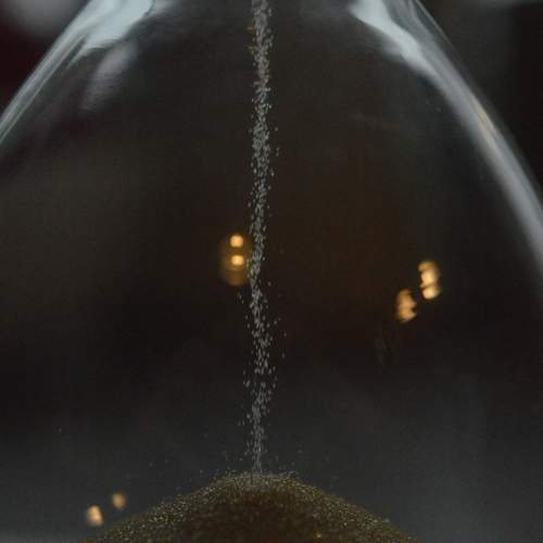 Photo #13015292