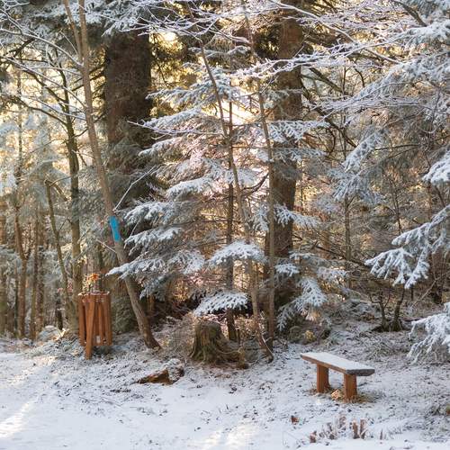 Photo #13015335