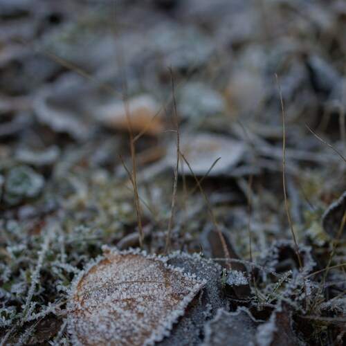 Photo #13015401
