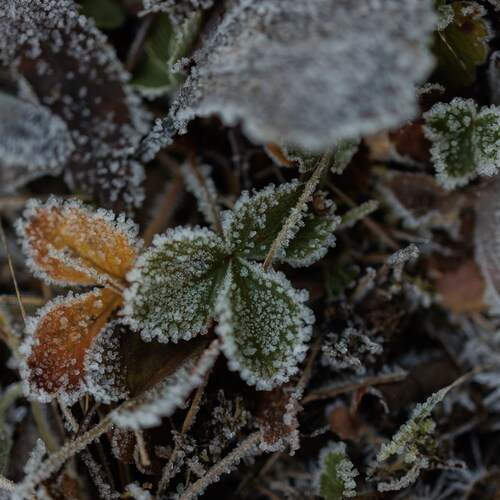 Photo #13015424