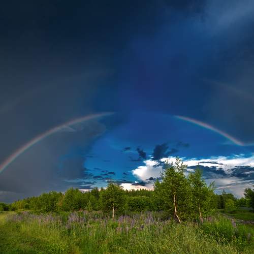 Photo #13015463