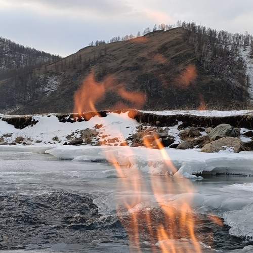 Photo #13015634