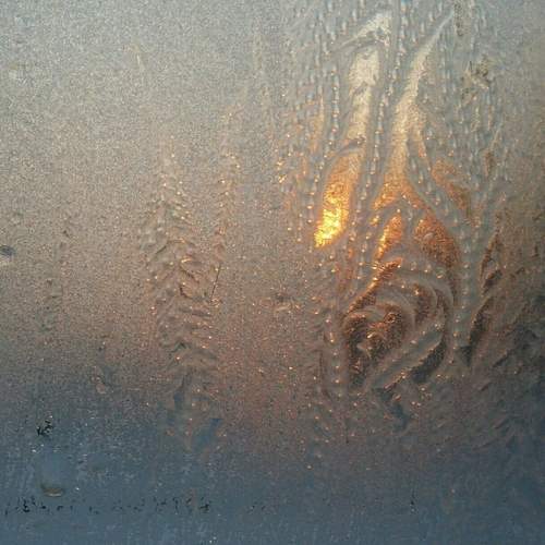 Photo #13015673