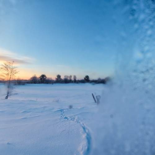 Photo #13015728