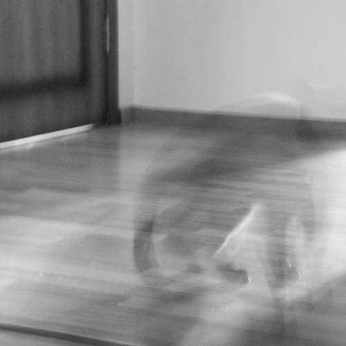 Фотография #13015826