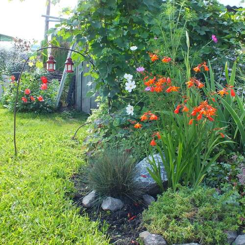 Photo #13016060