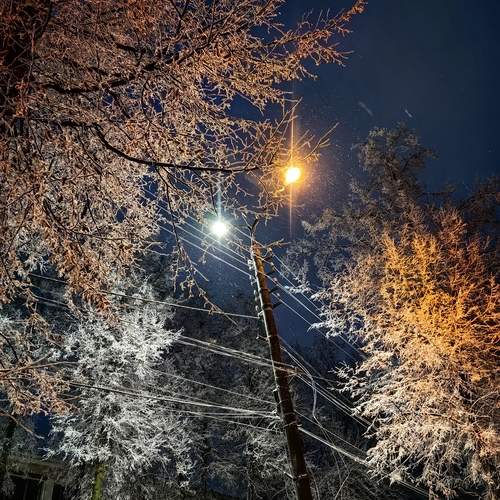 Photo #13016163