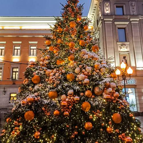 Photo #13016167