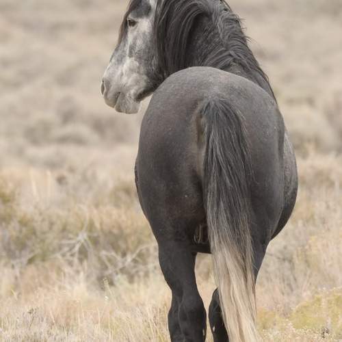 Фотография #13016175