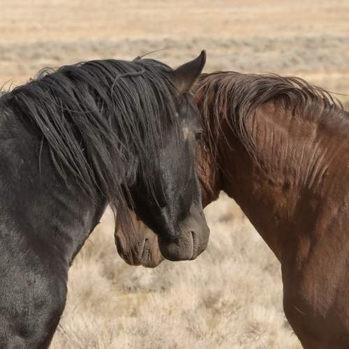 Фотография #13016177