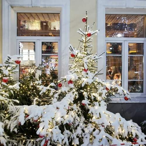 Photo #13016266