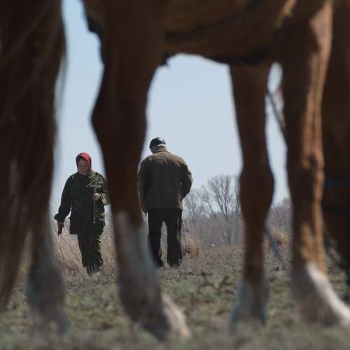 Photo #13016367