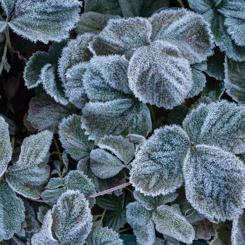 Photo #13016533