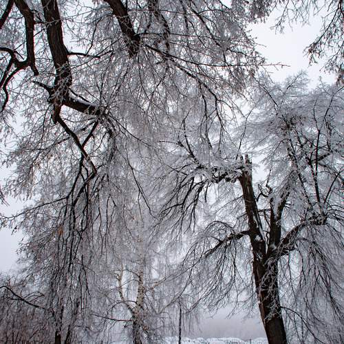 Photo #13016567