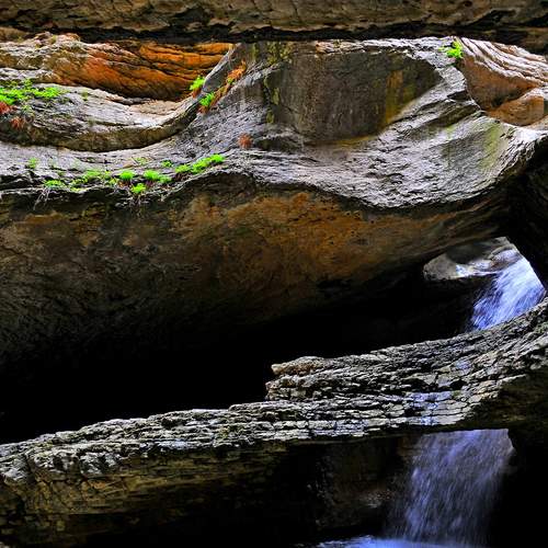 Photo #13016828